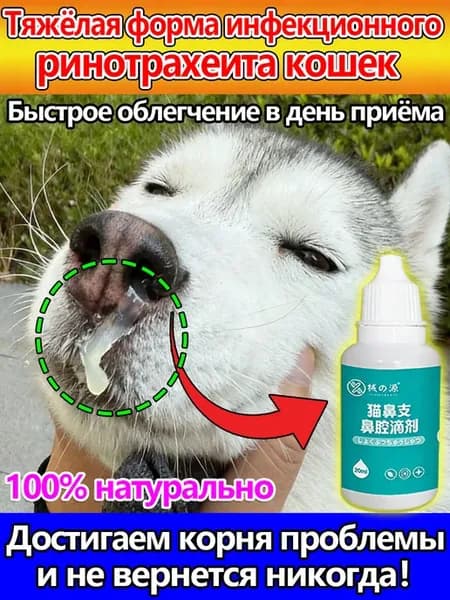 Капли от насморка и чихания собака