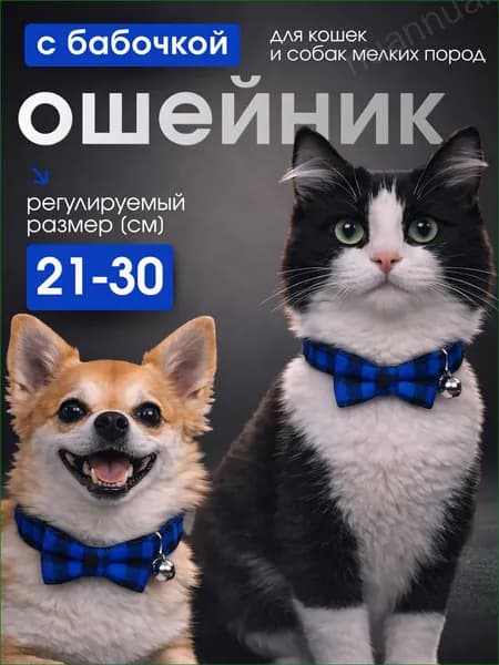 Ошейник декоративный с бабочкой, премиум, регулируемый, синий, для кошек и собак