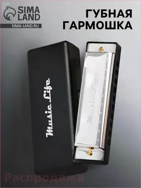 Губная гармошка диатоническая, C-major, с футляром, серебристая