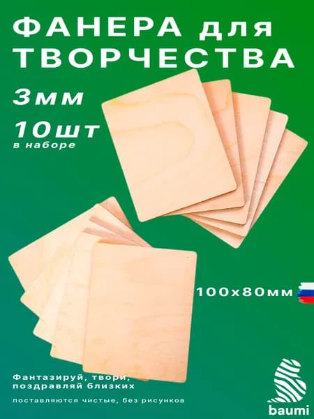Заготовки для выжигания и творчества 100х80 мм, 10 шт