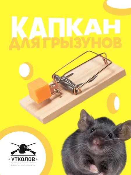 Капкан для грызунов (малый)