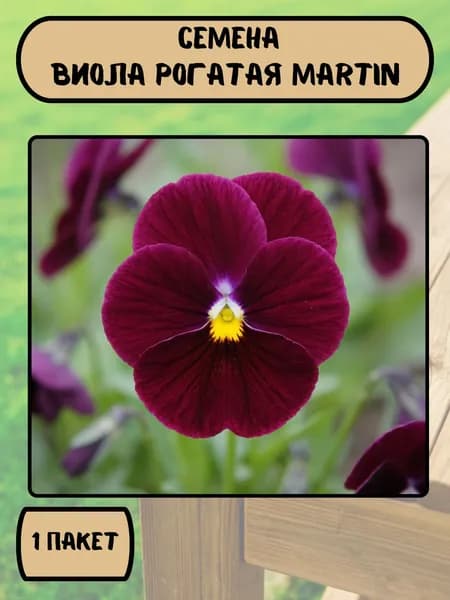 Виола (Анютины глазки) рогатая Martin, семена 10 шт