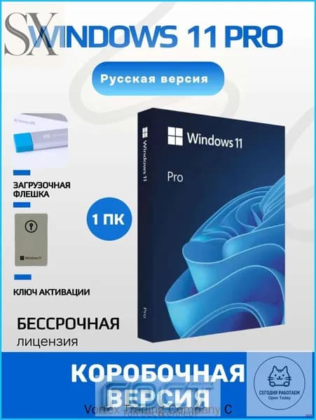 Windows 11 PRO box (коробочная версия) USB-флешка