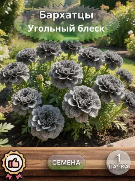 Бархатцы Угольный блеск, семена, 10 шт.
