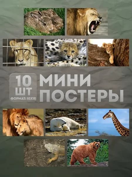Мини постеры (набор) «Животные» 10 шт