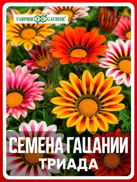 Семена Гацания крупноцветковая "Триада" смесь 0,05 гр, однолетние цветы для дома, дачи, сада и огорода, клумбы, в открытый грунт, в контейнер.