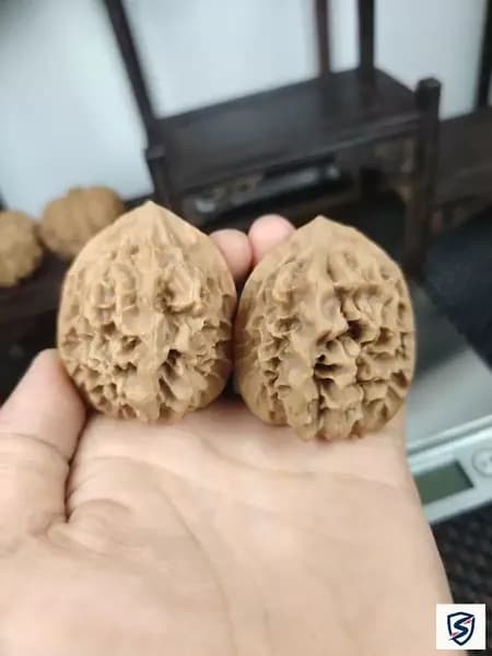 Императорские грецкие орехи "Львиная голова" (полный комплект, без реставрации)