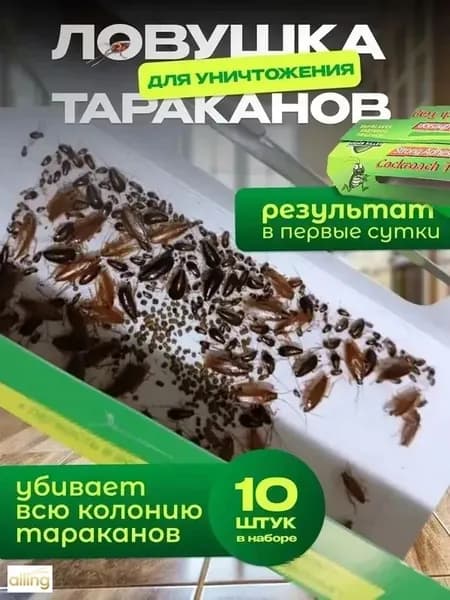 Ловушка для садовых вредителей