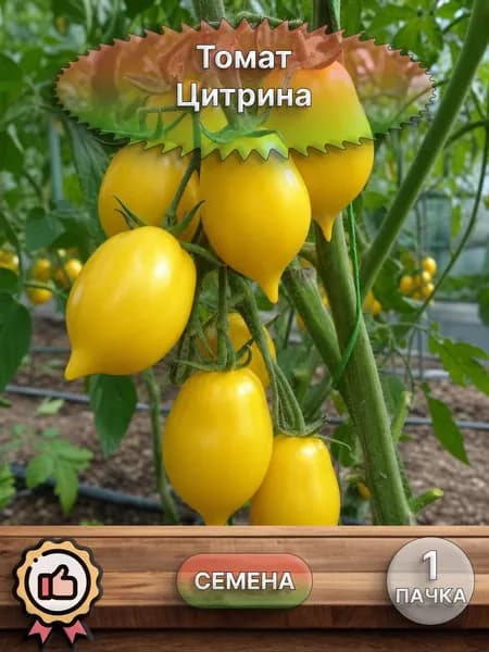 Коллекционные семена томата Цитрина, 1 пачка