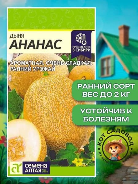 Семена дыни, Дыня "Ананас" 0,5г Семена для сада