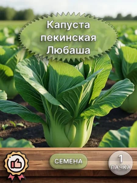 Капуста пекинская Любаша (семена)