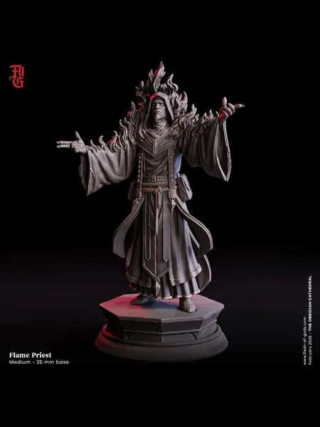 Фигурки для настольных игр, Огненный жрец, ДнД, Dangeon and Dragons, sci-fi, pathfinder. база 25mm