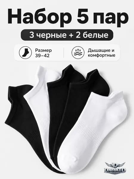 Носки мужские, 5 пар