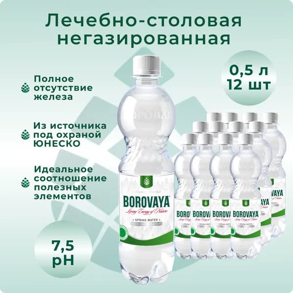 Вода минеральная БОРОВАЯ лечебно-столовая негазированная, пэт 0.5 л х 12 шт