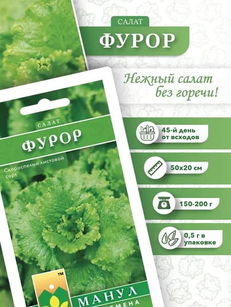 Семена Салат Фурор 0,5 грамм.