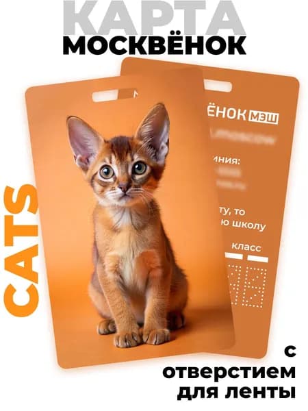 Карта школьника Москвёнок CATS №1