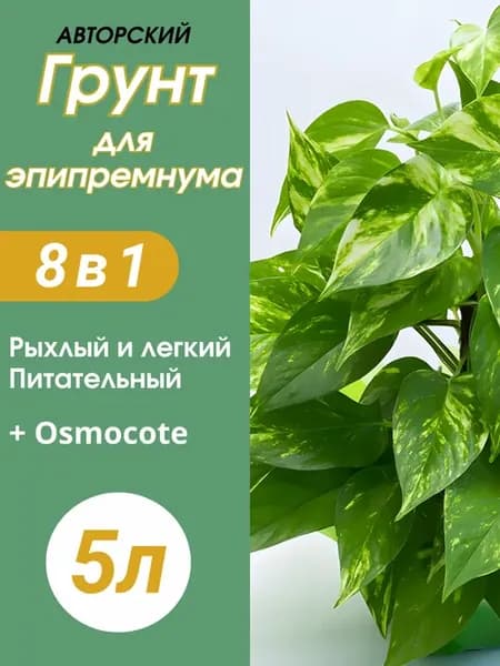Грунт для Эпипремнума 5л готовый