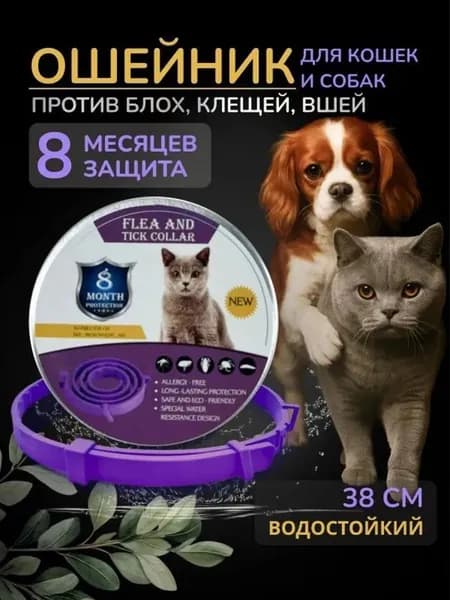 ошейник от блох для кошек и клещей, фиолетовый, водостойкий, 8 месяцев, гипоаллергенный, регулируемый 38 см, антипаразитарный, против вшей, домашняя профилактика паразитов