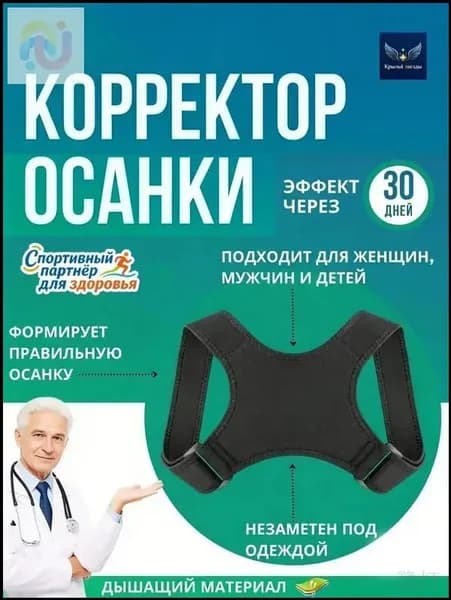 Эксклюзивный спинной корректор для осанки, применяемый взрослыми женщинами и мужчинами, является ортопедическим бандажом Лампа в виде цапли 1
