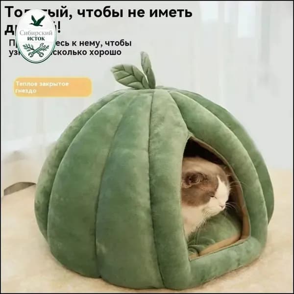 Эксклюзивное жилище для питомцев