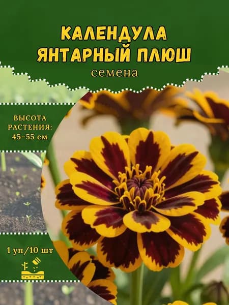 Календула "Янтарный Плюш" семена, 1 пачка