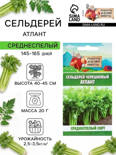 Семена черешкового сельдерея Атлант 0.5 г рецепт Никиты