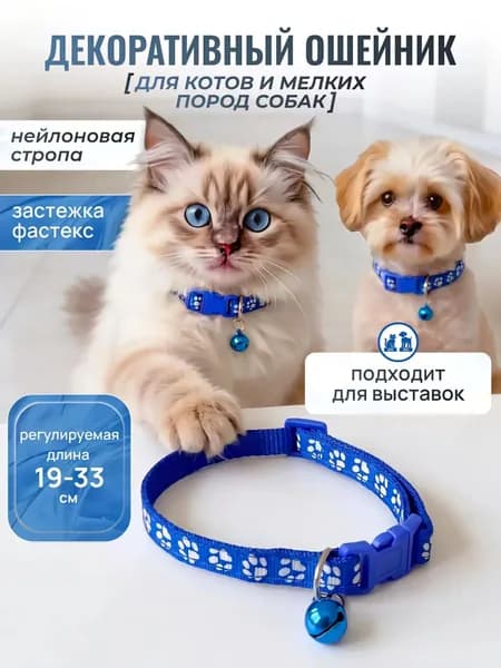ошейник с бубенчиком