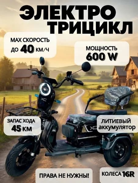 Электроскутер трёхколёсный 600W, скорость до 40 км/ч, с багажником