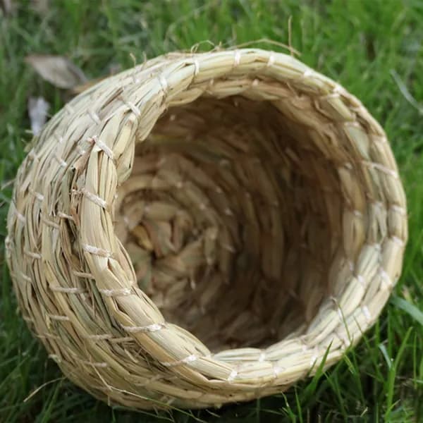 Скворечник