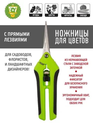 Сучкорез