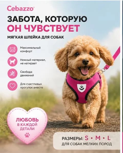 Шлейка