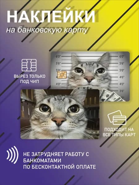 наклейка на банковскую карту или проездной с кот в тюрьме с деньгами
