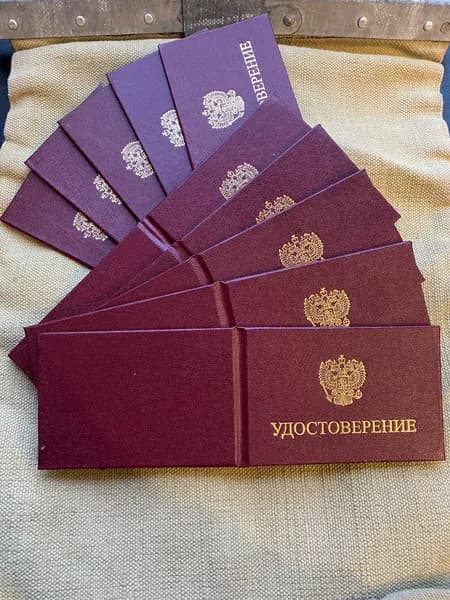 Набор удостоверений с гербом РФ 10 шт темная вишня. Комплект бланков обложка бумвинил, тиснение золотом, вкладыш триколор