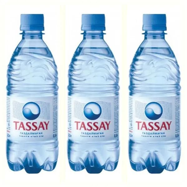 TASSAY Вода Минеральная Негазированная 500мл. 3шт