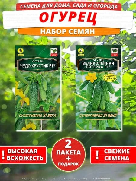 Семена огурец для дома сада посадки