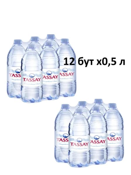 Tassay Природная минеральная вода негазированная, пэт 6 л ( 12 шт по 0.5 л )