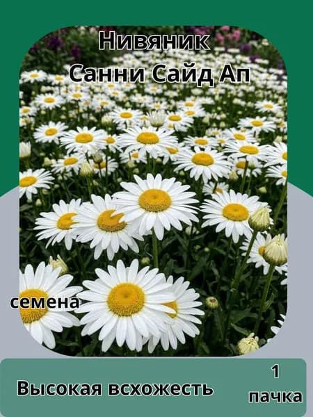 Нивяник Санни Сайд Ап,семена10шт