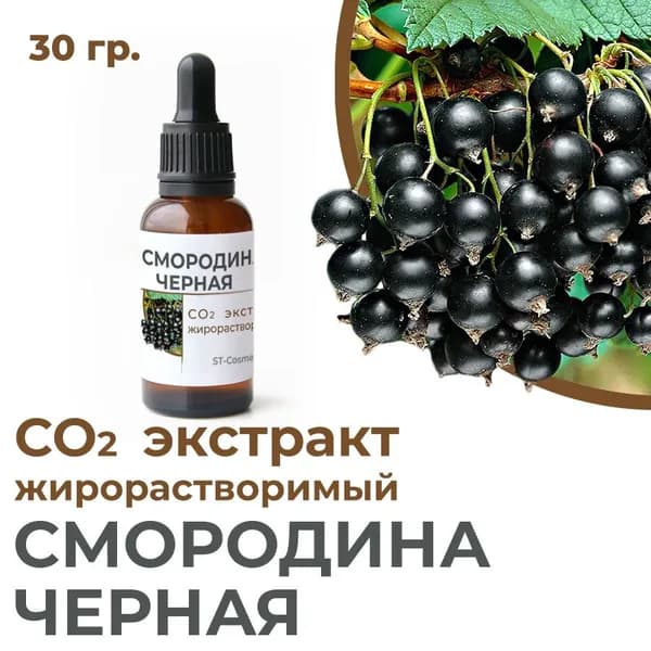 СО2 экстракт смородины черной, 30 гр.