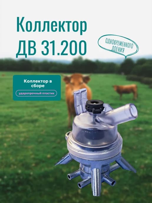 Коллектор ДВ 31.200