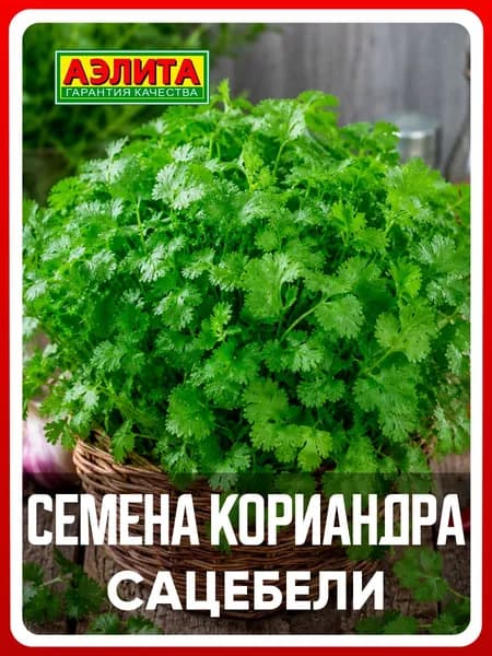 Семена кориандр "Сацебели", 2 г, для дома, дачи и огорода, кориандр из семян, в открытый грунт