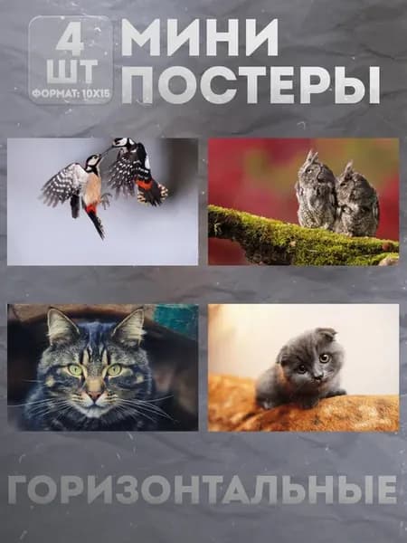 Мини постеры 10 на 15 (набор) «Животные» 4 шт