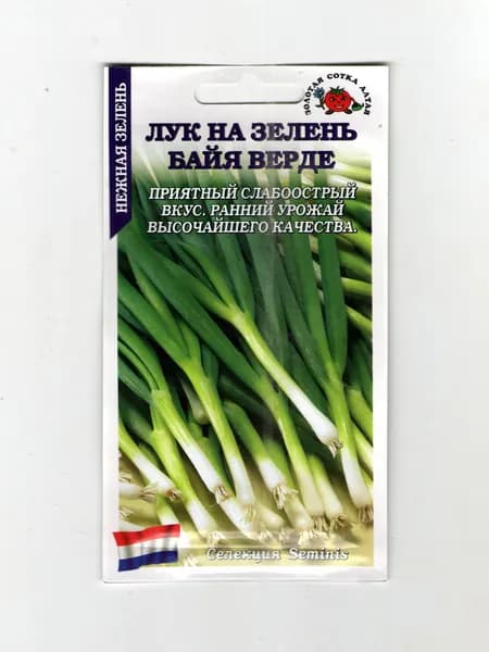 Лук На зелень Байя Верде /Сотка/ 0,2г/ среднесп.