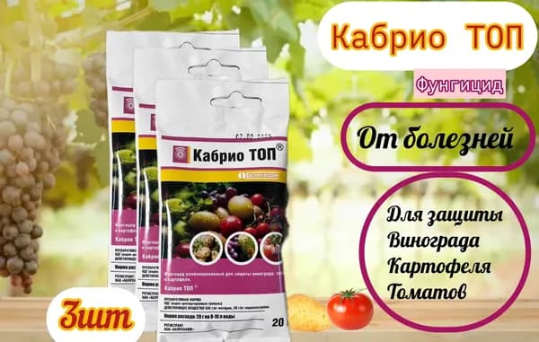 Универсальное средство защиты растений от болезней
