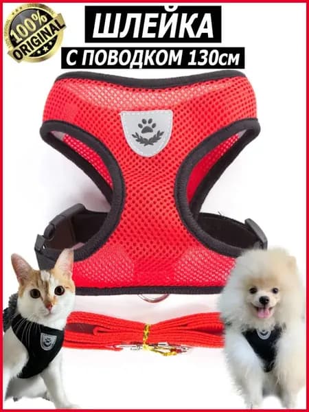 Шлейка