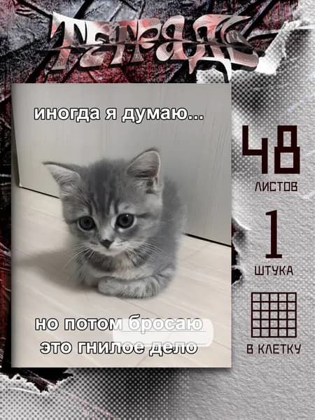 Тетрадь мемы с котами иногда я думаю, 48 листов
