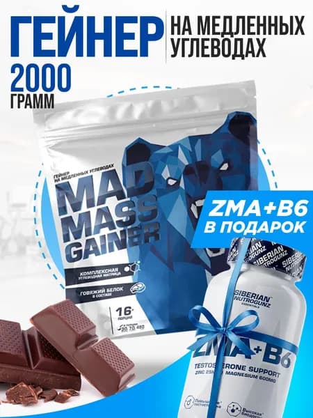 Гейнер Siberian Nutrogunz Mad Mass Gainer 2 кг вкус шоколад и ZMA тестобустер