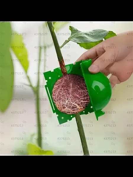 Ящик для выращивания