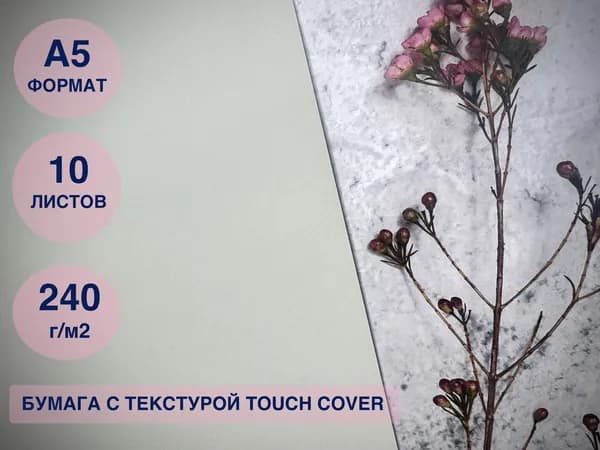 Дизайнерская бумага светло-серая 10 листов A5 240г/м2