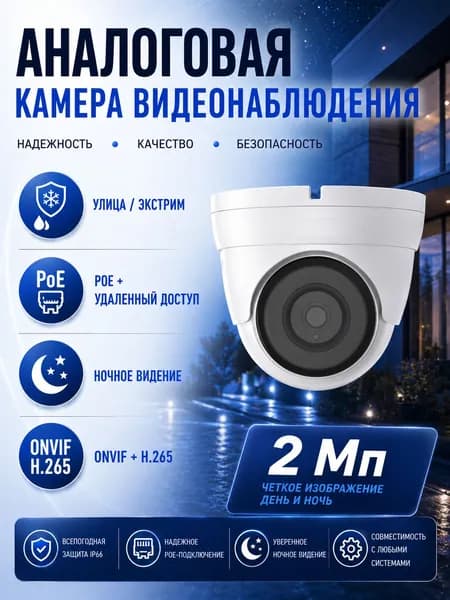 RT-IPD21 (2 Мп, 3.6 мм) Камера видеонаблюдения