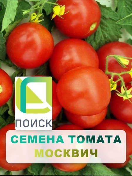 Семена Томат "Москвич" 0,1 г, овощи для дома, дачи и огорода, в открытый грунт, в теплицу, в парник